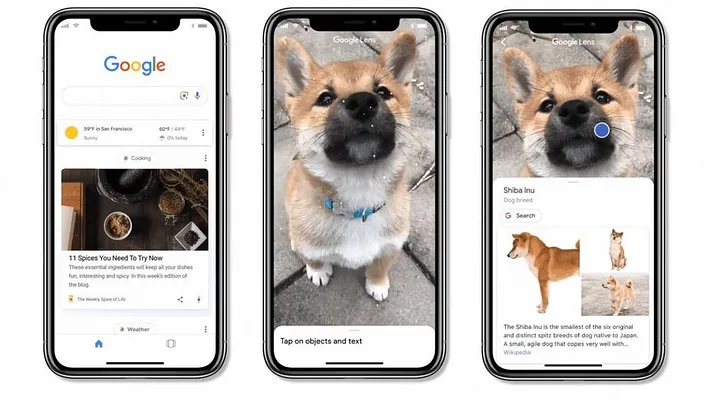 Google visual search