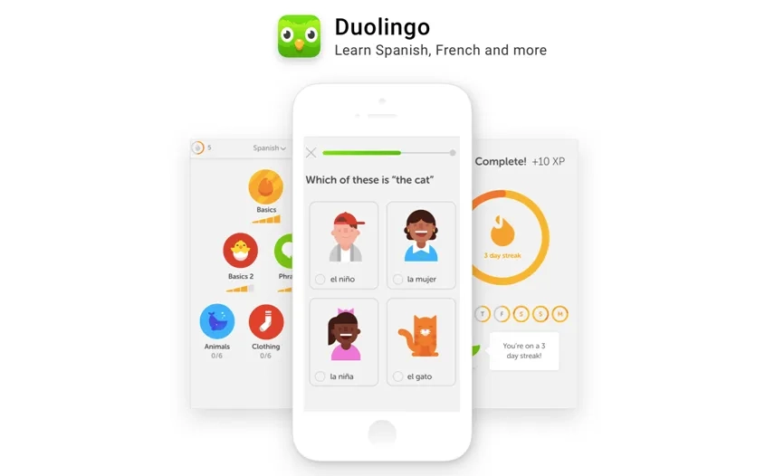 Duolinguo design