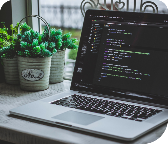 web development services
