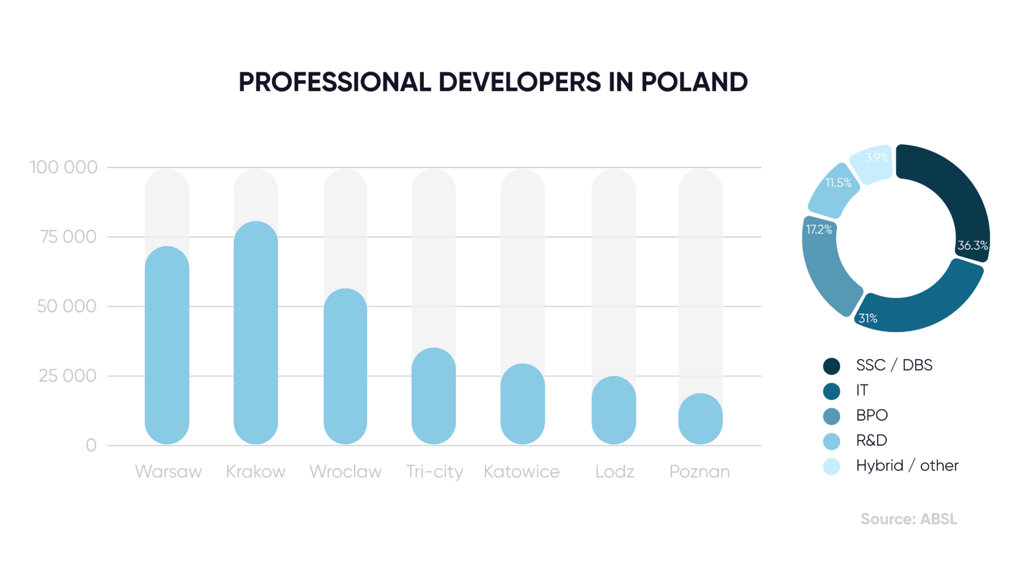 professional software developers in Poland