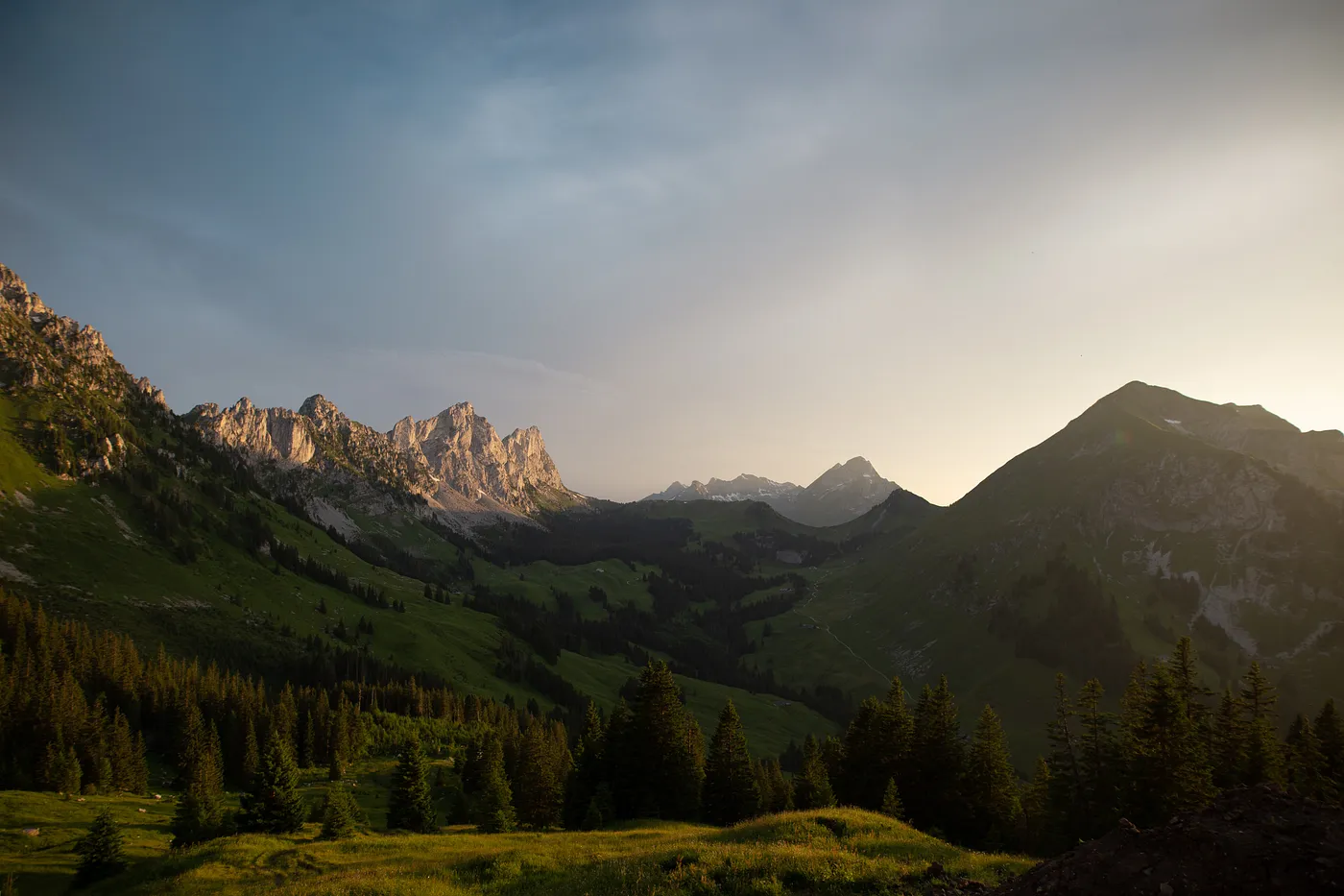 How IoT, AI and Big Data Can Enable Environmental Sustainability