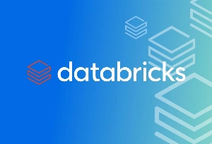 Top Databricks Companies: Best Partners and Providers of 2026