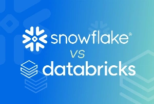 Snowflake vs Databricks for BI: Which Platform Fits Your Use Case?