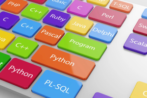 The Best Web Application Development Languages in 2025